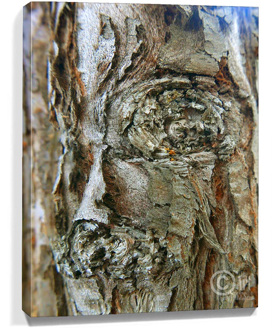 tree artwork