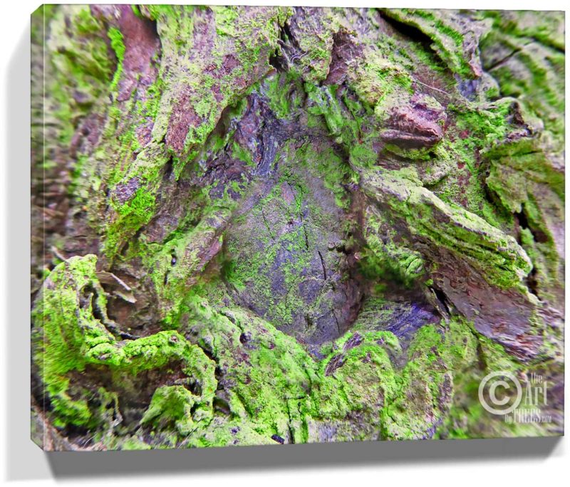 real tree artwork