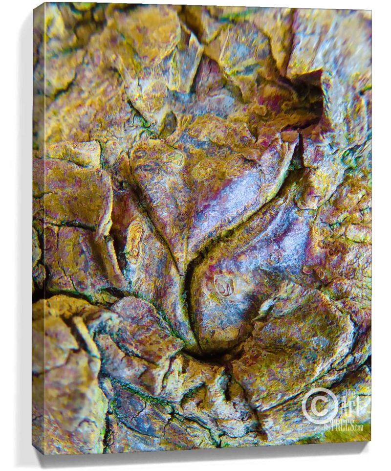 trees wall artwork for home