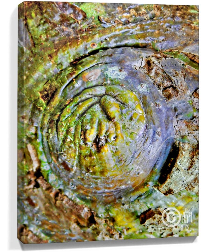 trees artwork