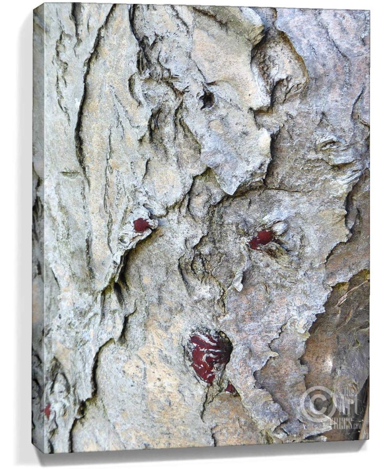 tree artwork
