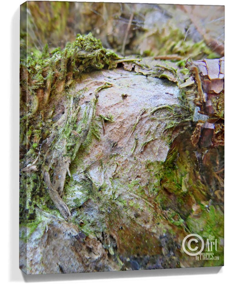tree artwork