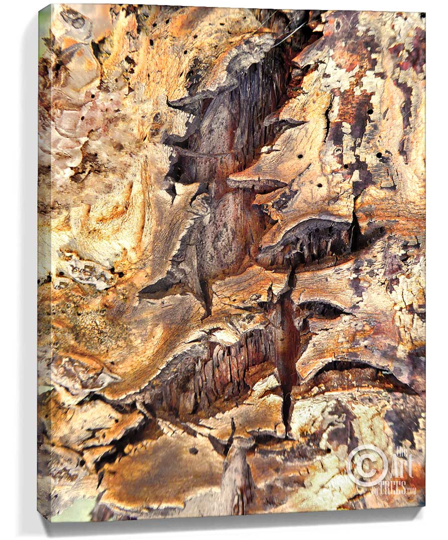 tree artwork