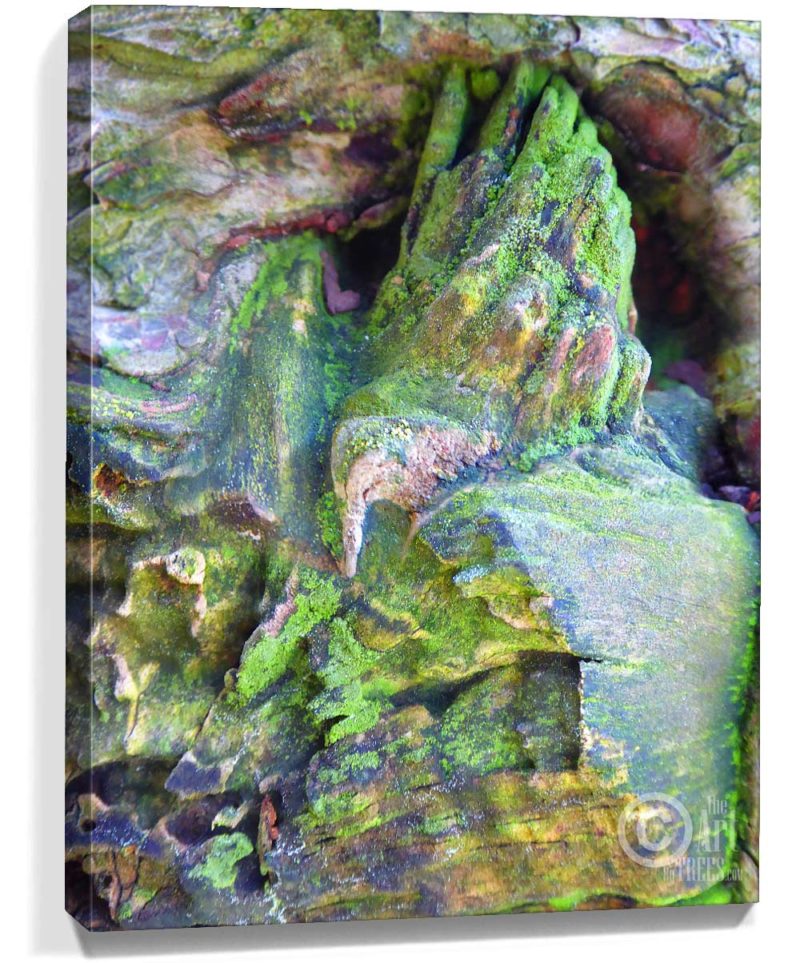 tree artwork