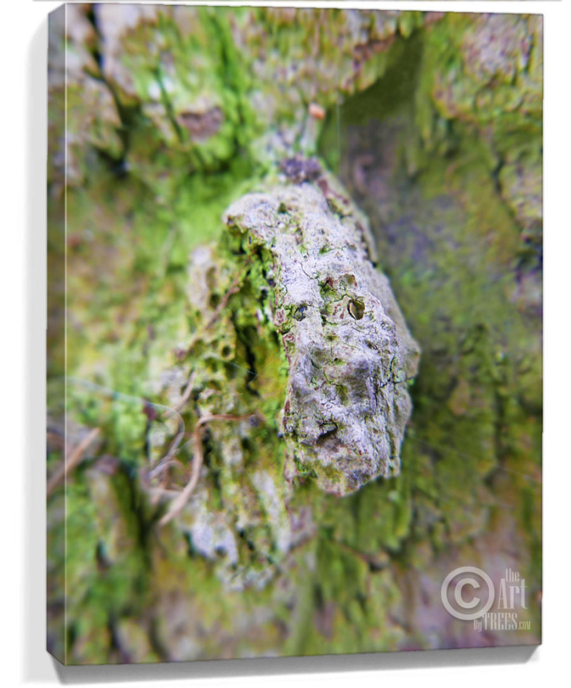tree artwork