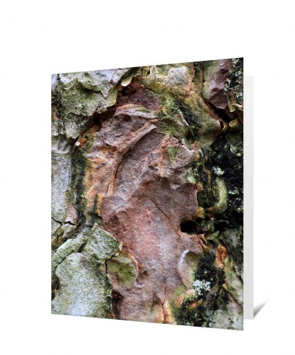 Trees Greeting Card