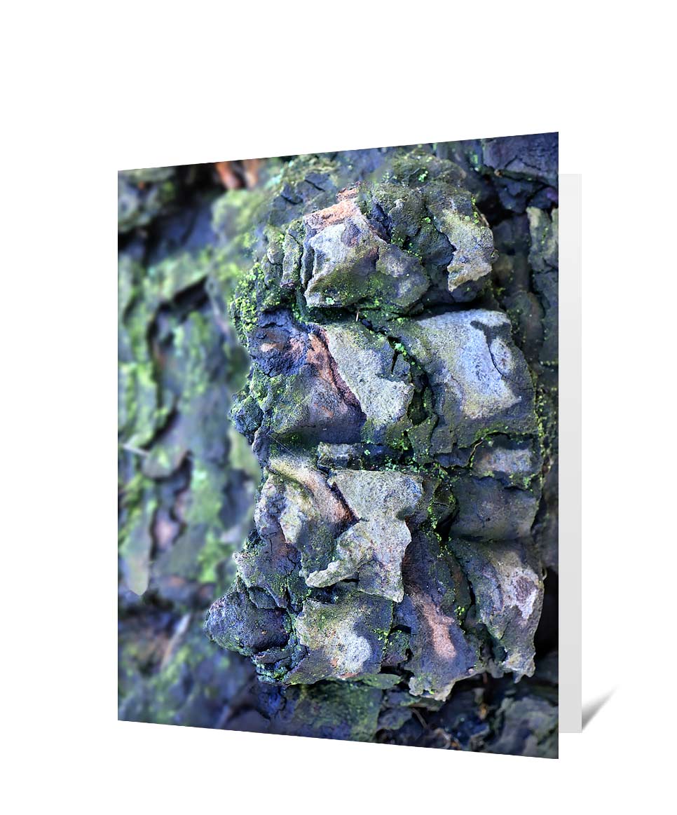 Trees Greeting Card