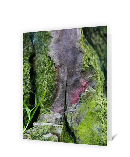 Trees art greeting card sku#1330270