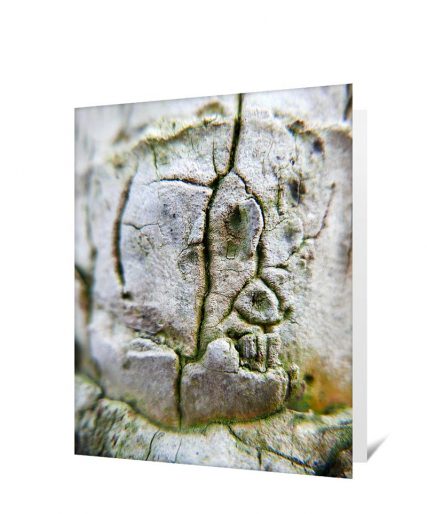 Trees art greeting card sku#1330285