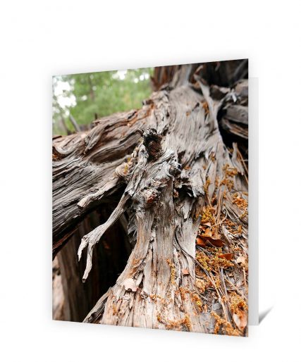 Trees art greeting card sku#1330457