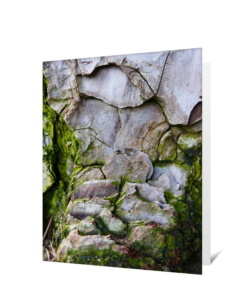 trees greeting cards for sale
