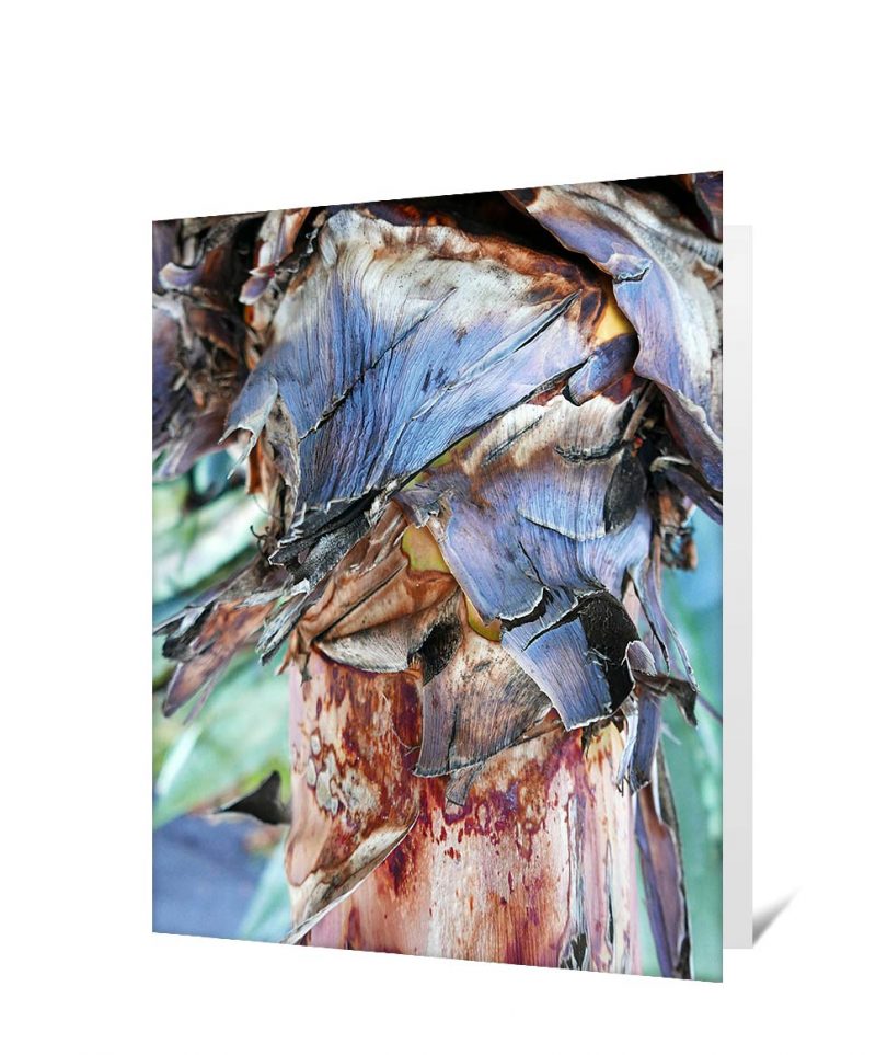 tree greeting card