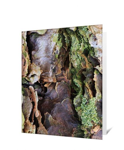 Trees art greeting card sku#1384722