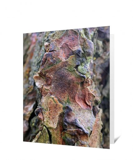 Trees art greeting card sku#1627101