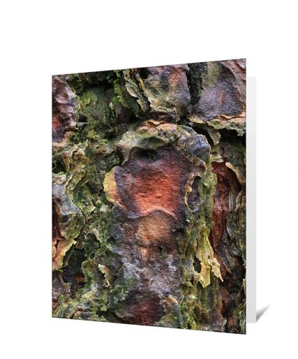 Trees art greeting card sku#1842551