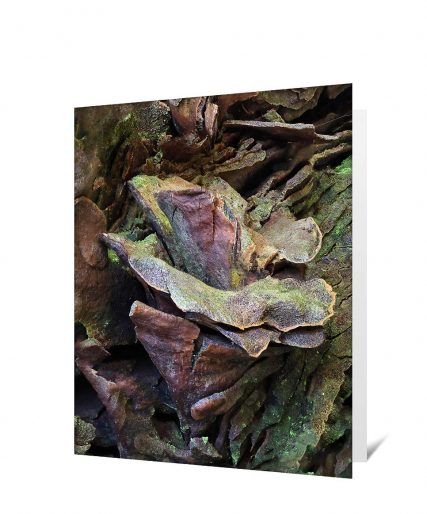 tree greeting card