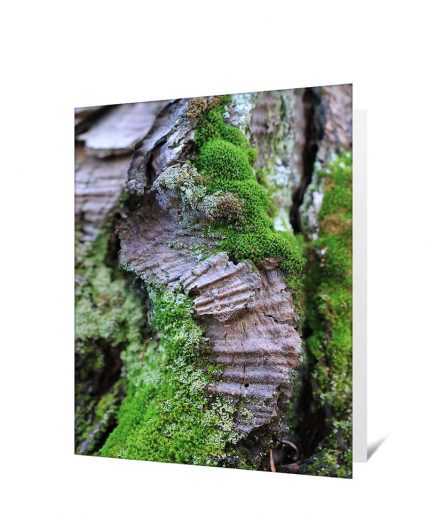 Trees art greeting card sku#1941525