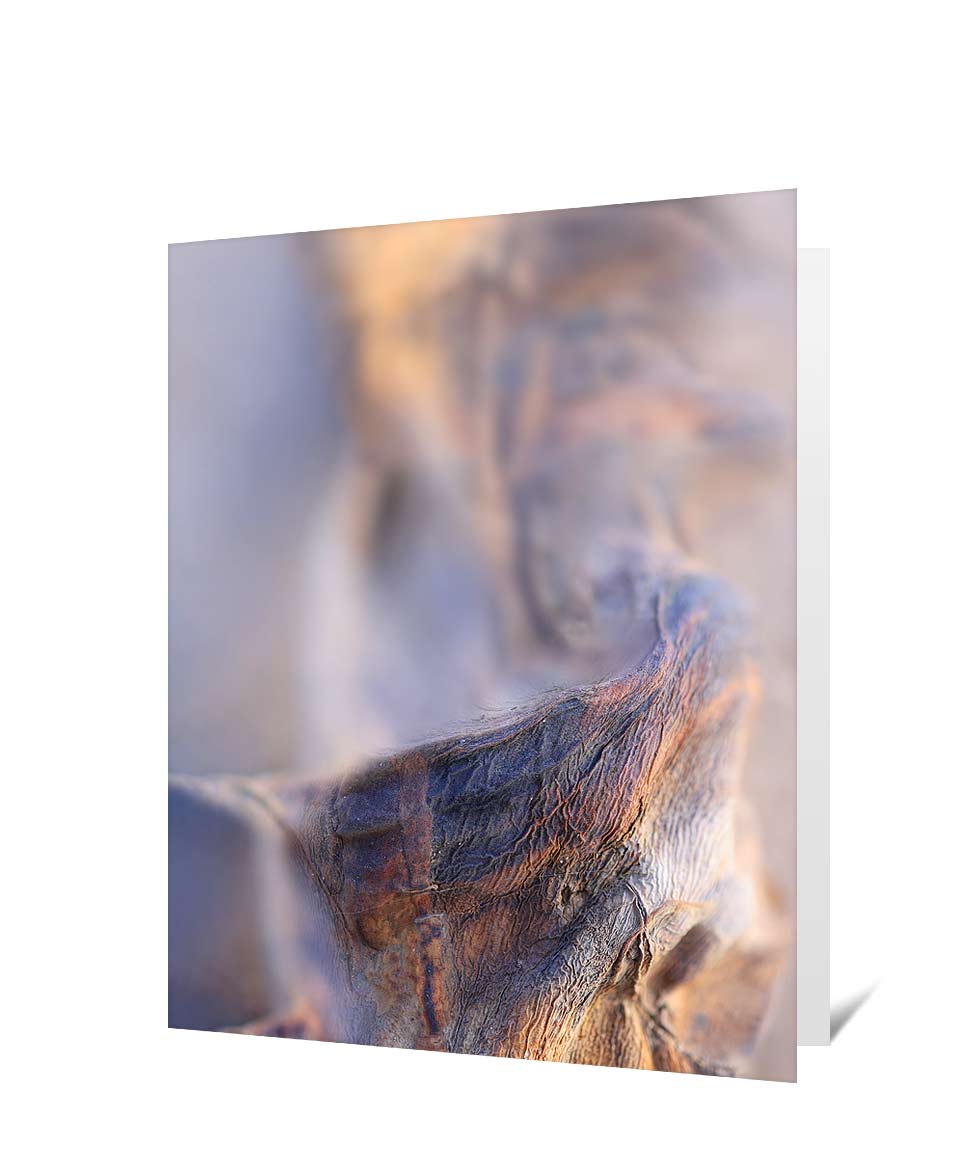 trees greeting card