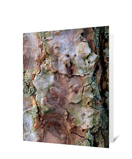 Trees art greeting card sku#2252675