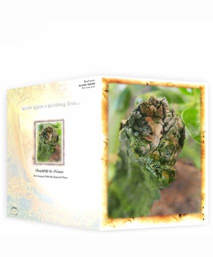 Trees Greeting Cards For Sale
