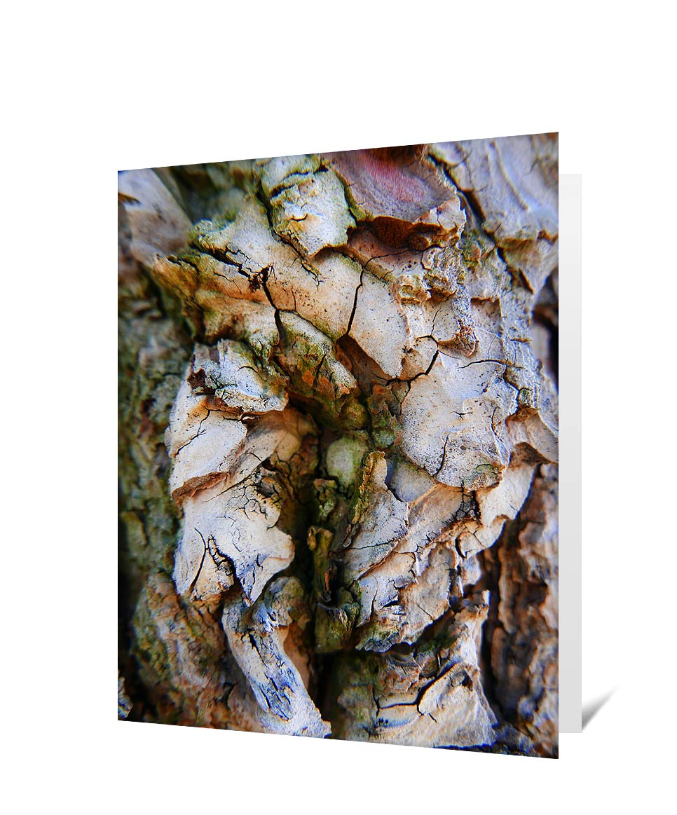 Trees art greeting card sku#2548118