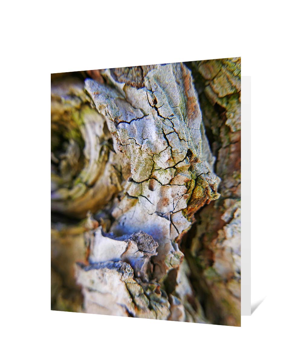 Trees art greeting card sku#2627718