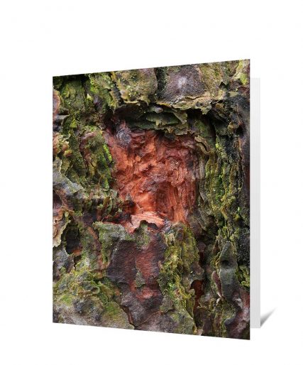 Trees art greeting card sku#2815155