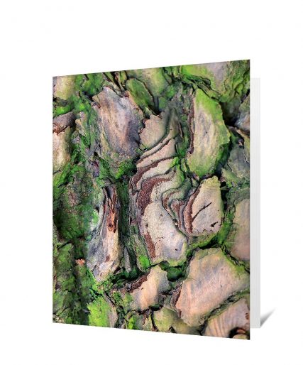 Trees Greeting Cards