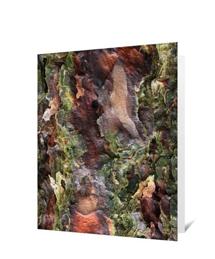 Tree Greeting Cards