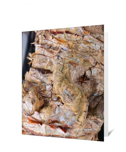 Trees art greeting card sku#4157720