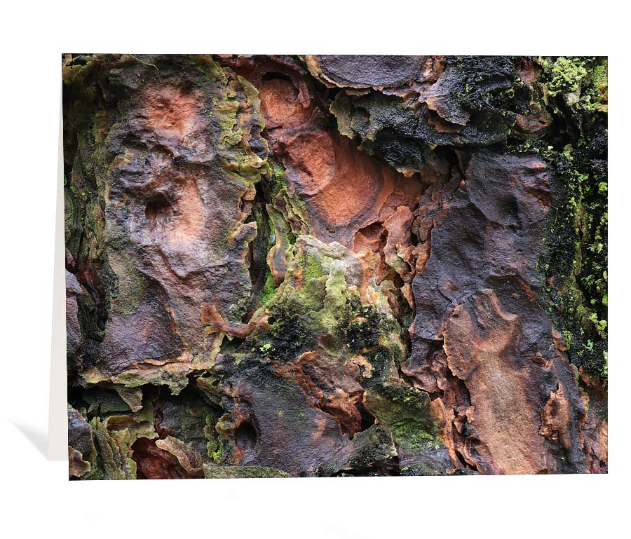 Tree Greeting Cards