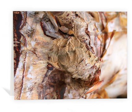 tree greeting card