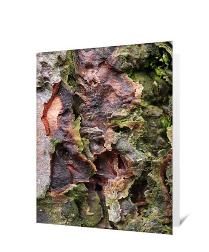 Tree Greeting Cards
