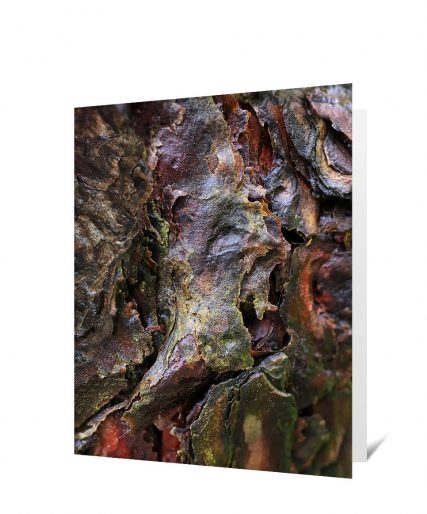 Trees Greeting Cards
