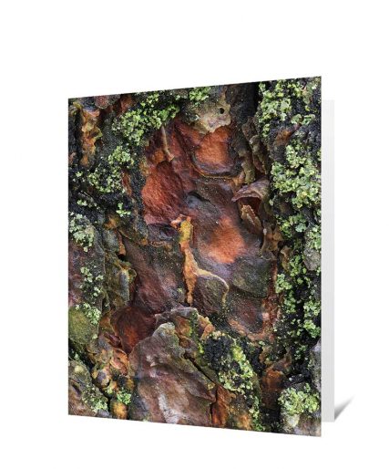 Trees art greeting card sku#5837218