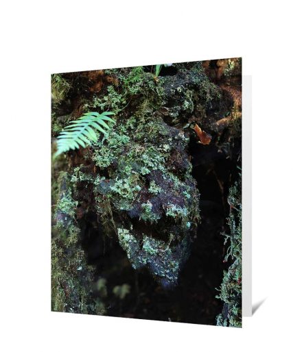Trees Greeting Card