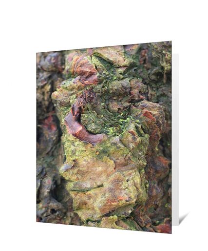 tree greeting card