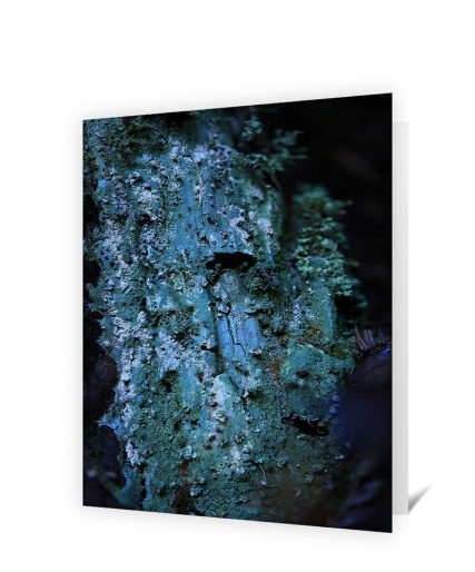 Trees Greeting Card