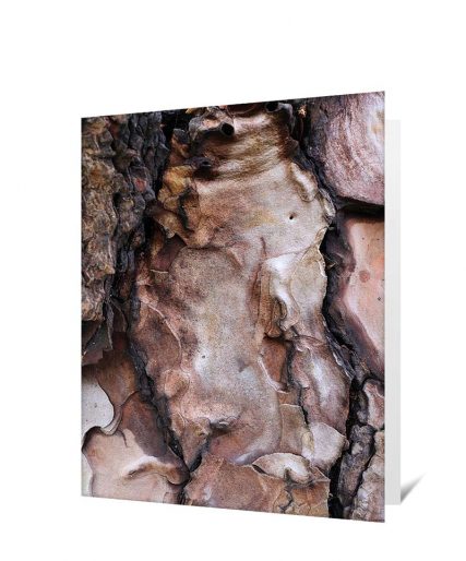 Trees art greeting card sku#7261981