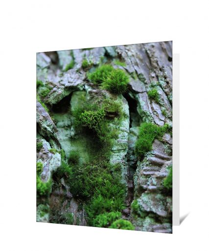 tree greeting card