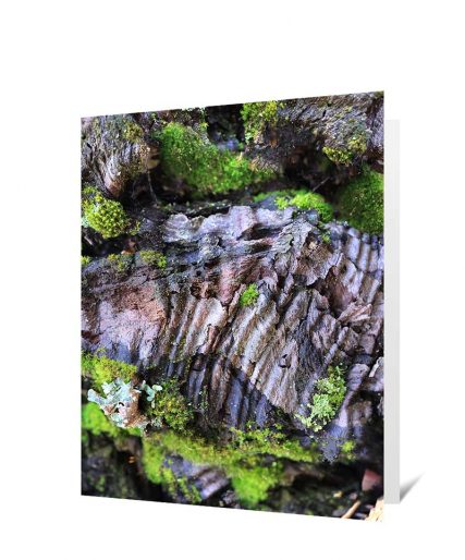 tree greeting card