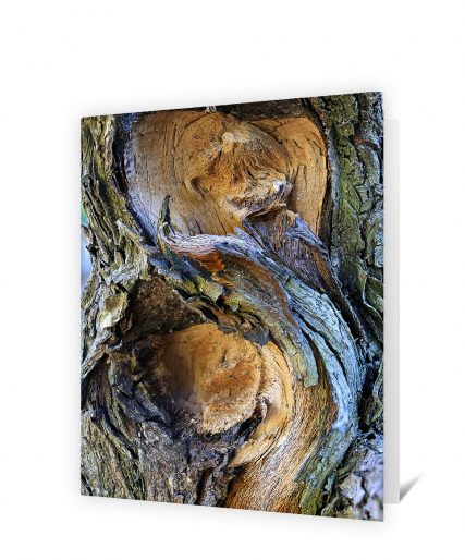 Trees art greeting card sku#8214728