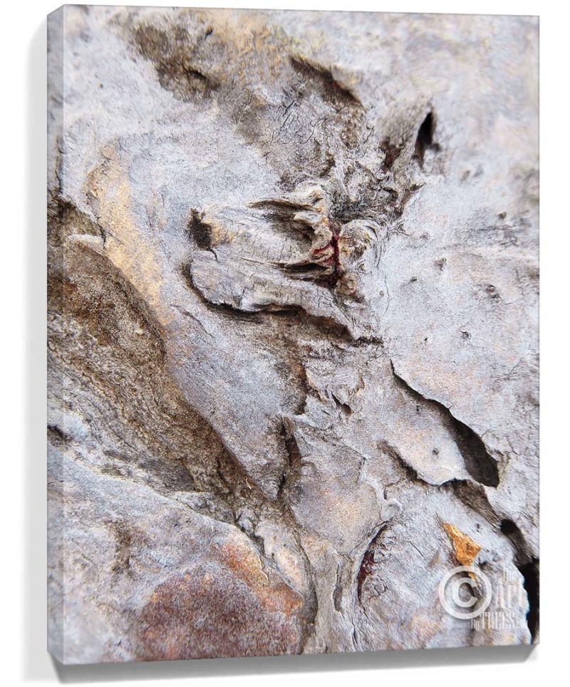 trees wall art home and office decor for sale