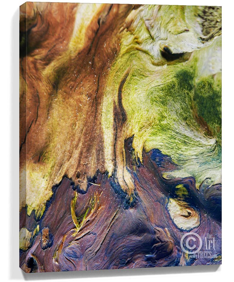 tree art wall decor