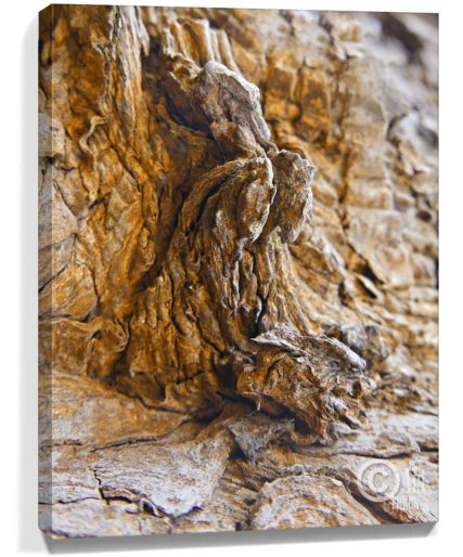 Tree Art Decor