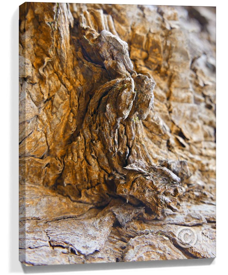 Tree Art Decor