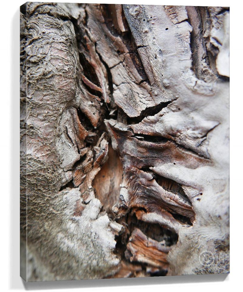 tree wall art