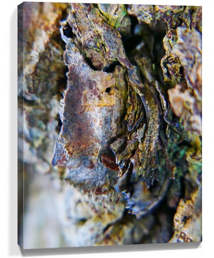Tree Wall Art