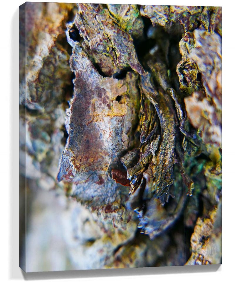 Tree Wall Art