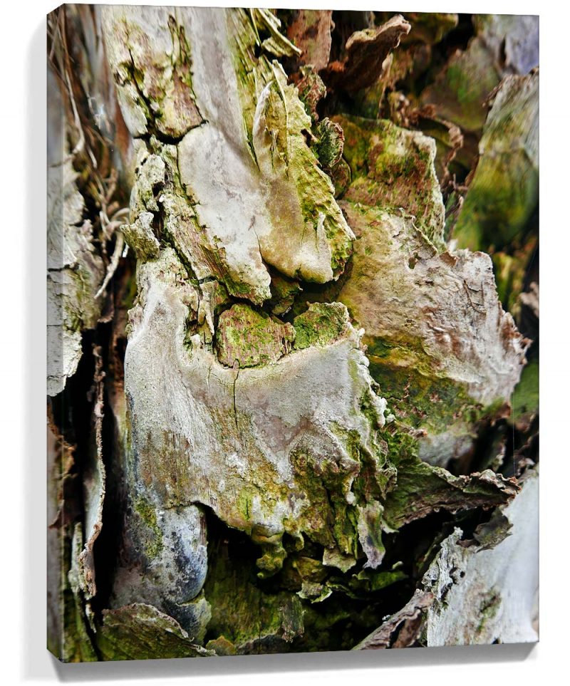 tree wall art